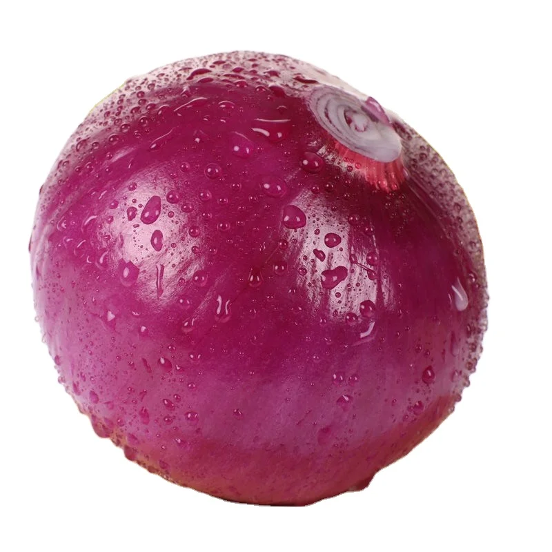 Organic Lowest Natural Price Onion Fresh Organic Red Yellowish or Red Year Round from Gansu onion 10/15/20 Healthy