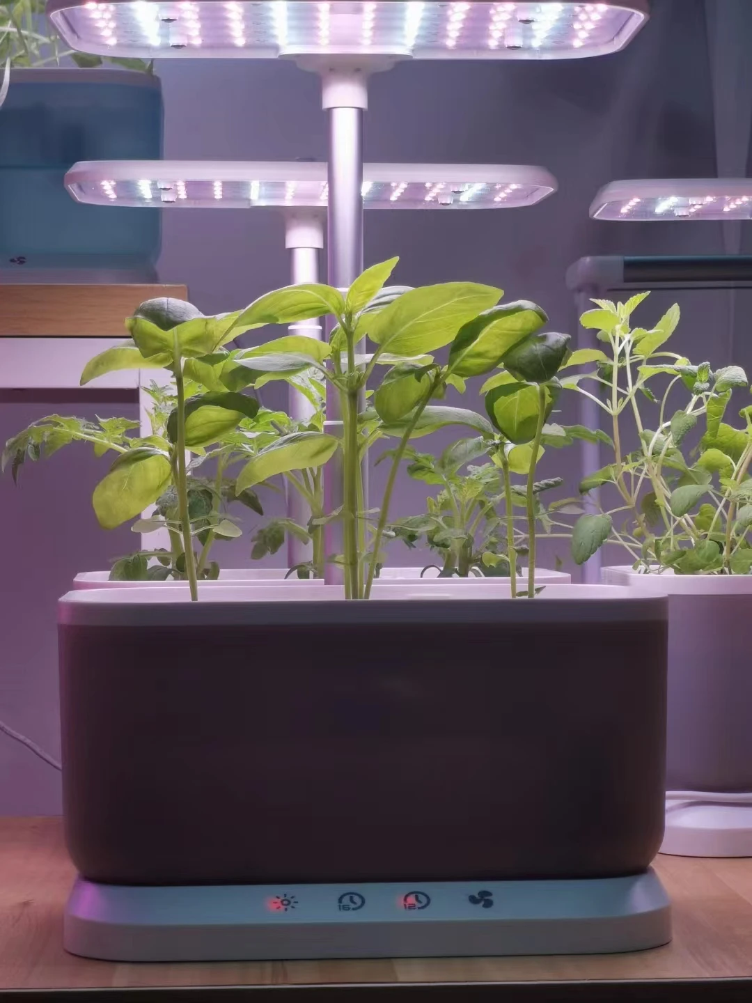 Indoor Hydroponics Growing Systems Specific Spectra LED Grow Light Bamboo Frame 16pods Hidroponic System For Home