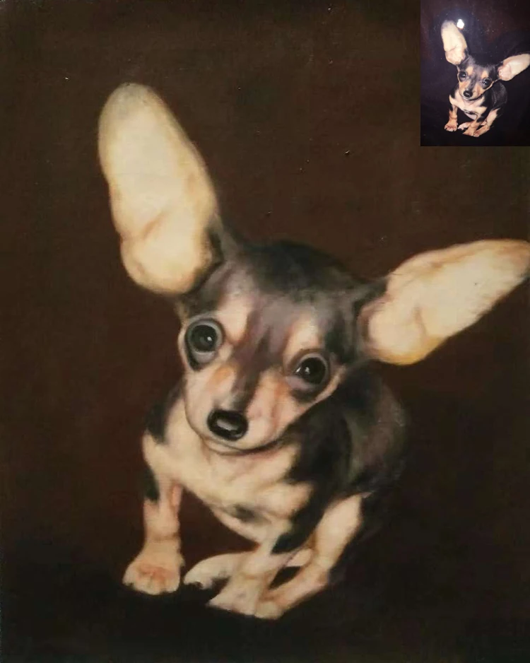 Animals photo to be oil painting hand made