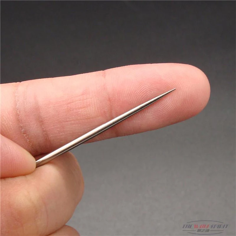 Toothpick Holder Keychain - Waterproof Stainless Steel Toothpick Box Container & 2 Titanium Toothpick Ultralight Travel Kits