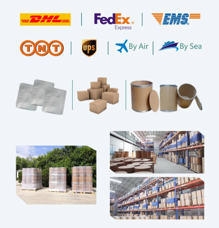 Manufacturers supply pure natural papaya extract powder papain at low prices