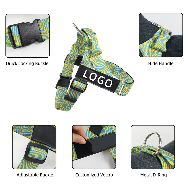 Heavy Duty Custom Printed Color and Pattern Training Dog Harness and Leash Set with Strong Plastic Buckle and Comfortable Handle