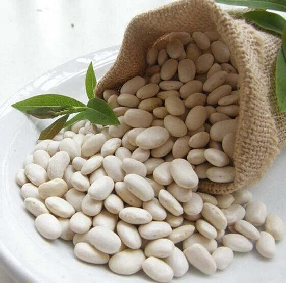 Factory Direct Sale 400g Canned White Kidney beans in brine