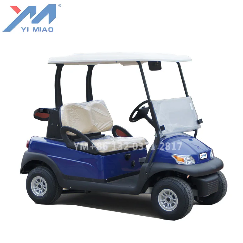 Factory prices   2 seater mini electric golf carts for sell (1600057245412)
