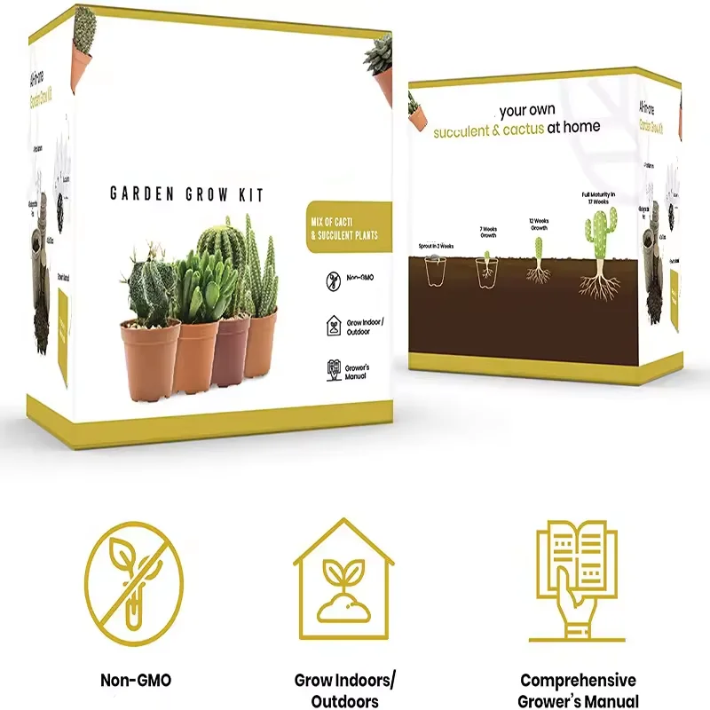 Starter Planting Kit Creative Beginner Indoor and Outdoor Garden Growing Set Wholesale