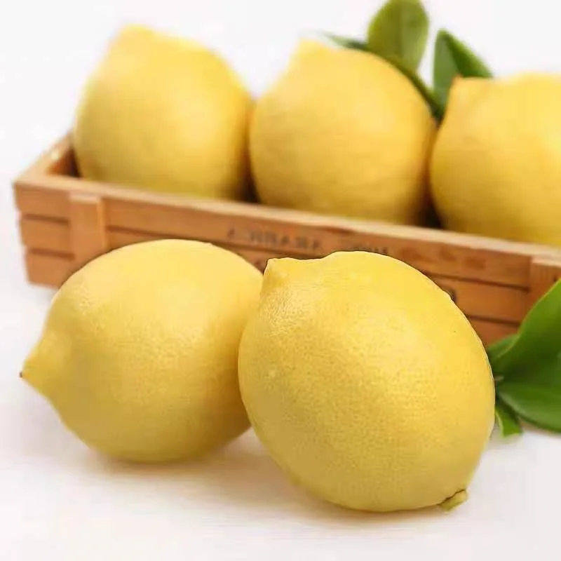Wholesale Hot sale high quality fruit fresh Yellow Lemons