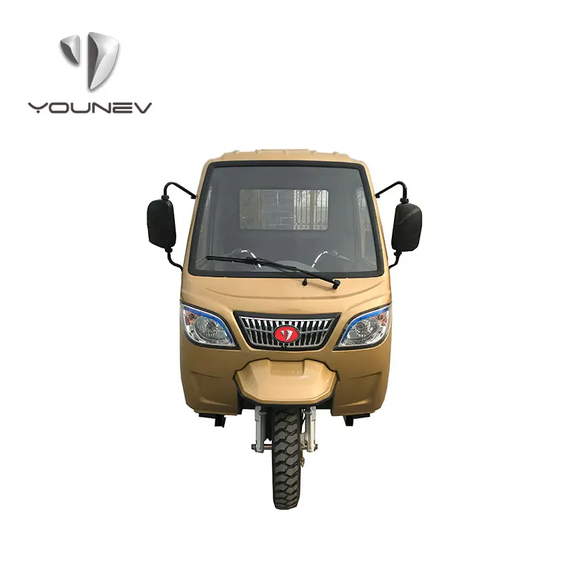 YOUNEV 250cc Wholesale high quality heavy load three wheel motorcycle gasoline engine cargo tricycle