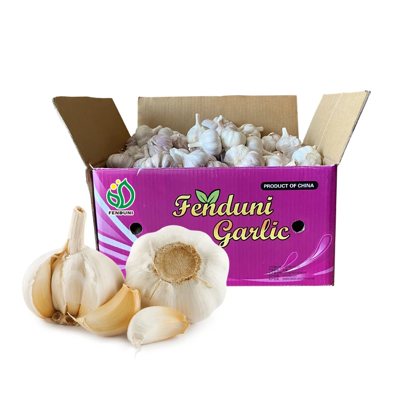 Supply Fresh Garlic Bulk from Cold Storage for sale 2022 New Crop 10kg box 55mm