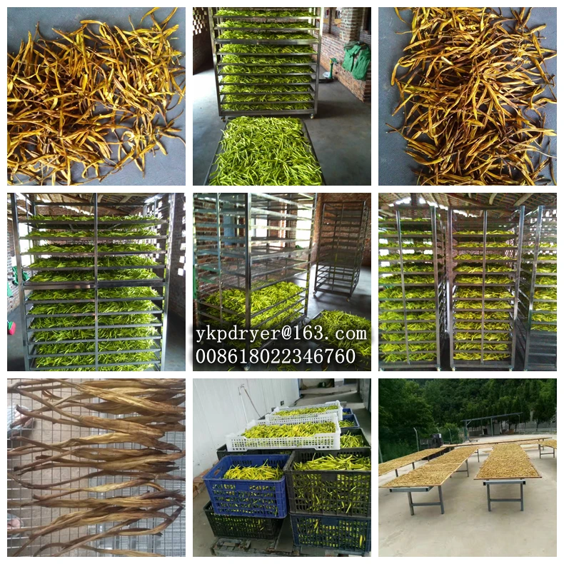 hot air dryer machine vegetable and fruit washing cutting food drying machine