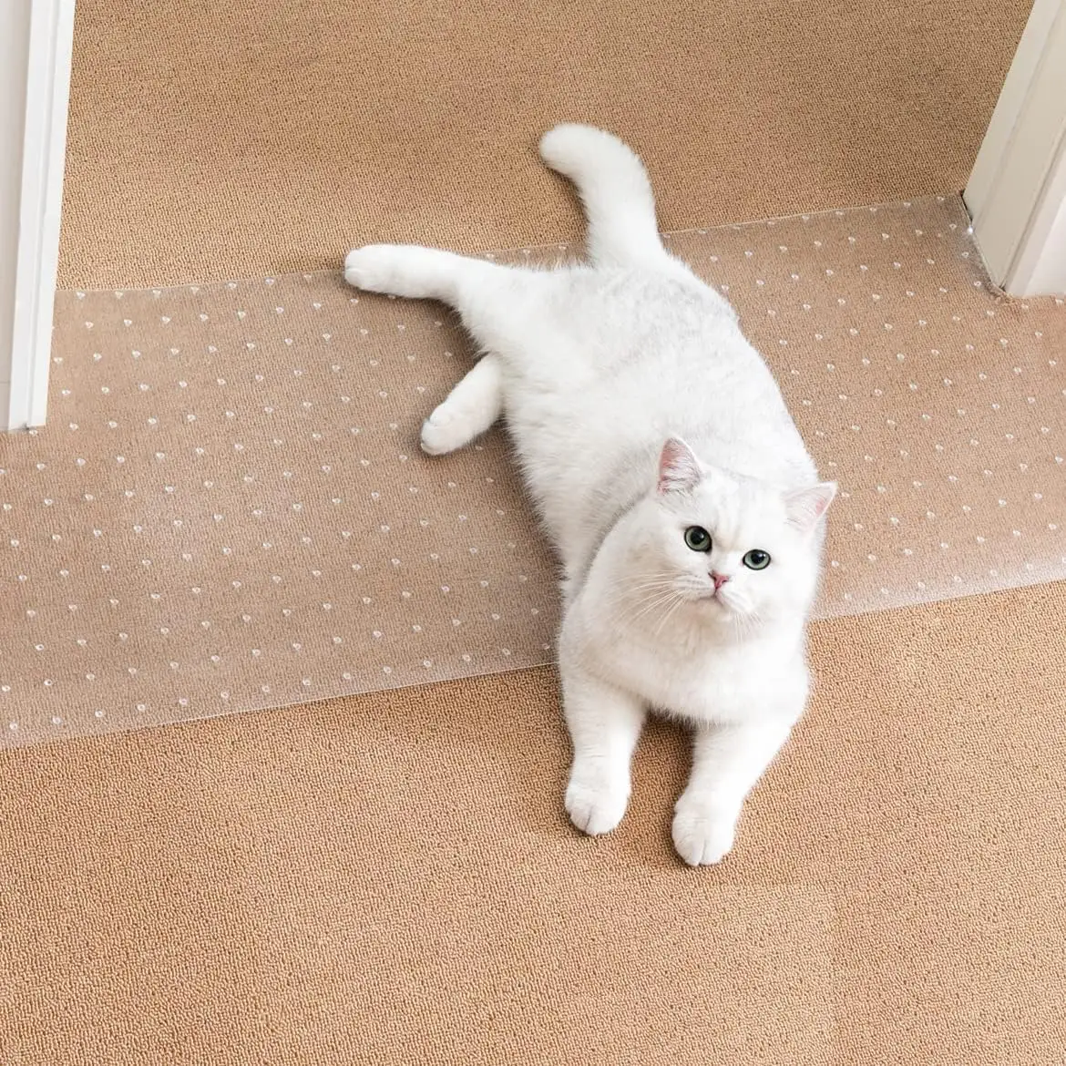 Heavy Duty Plastic Carpet Cat Carpet Protector