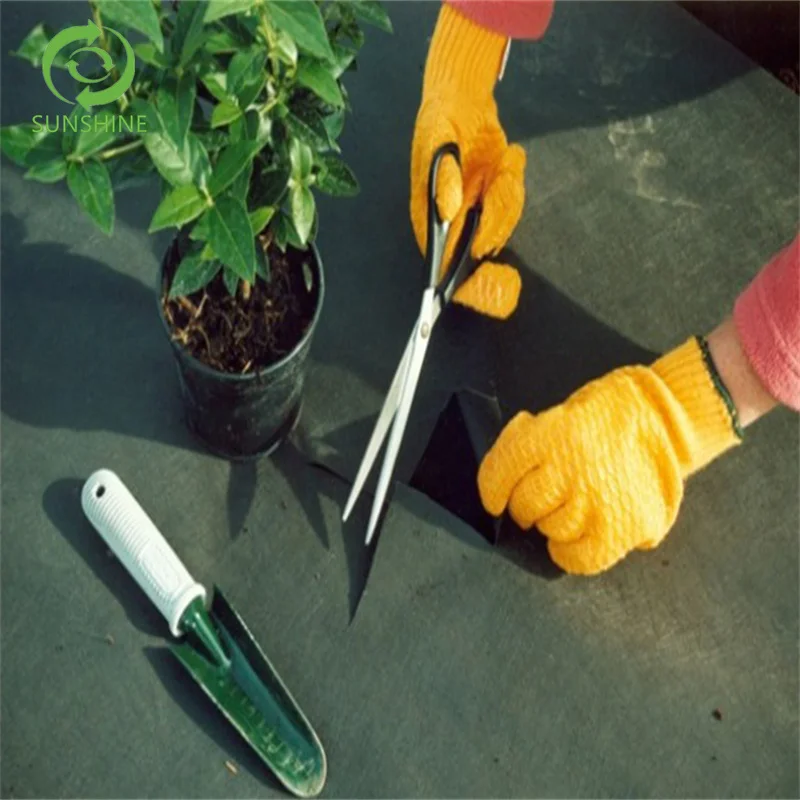 Eco-friendly Agriculture Nonwoven Fabric PP Spunbond Non woven Agriculture Cover