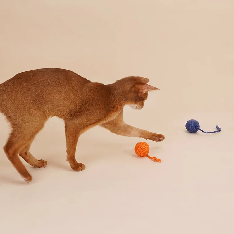  Игрушки для кошек шарики из сизаля Amazon игрушки жевательные кошачьей