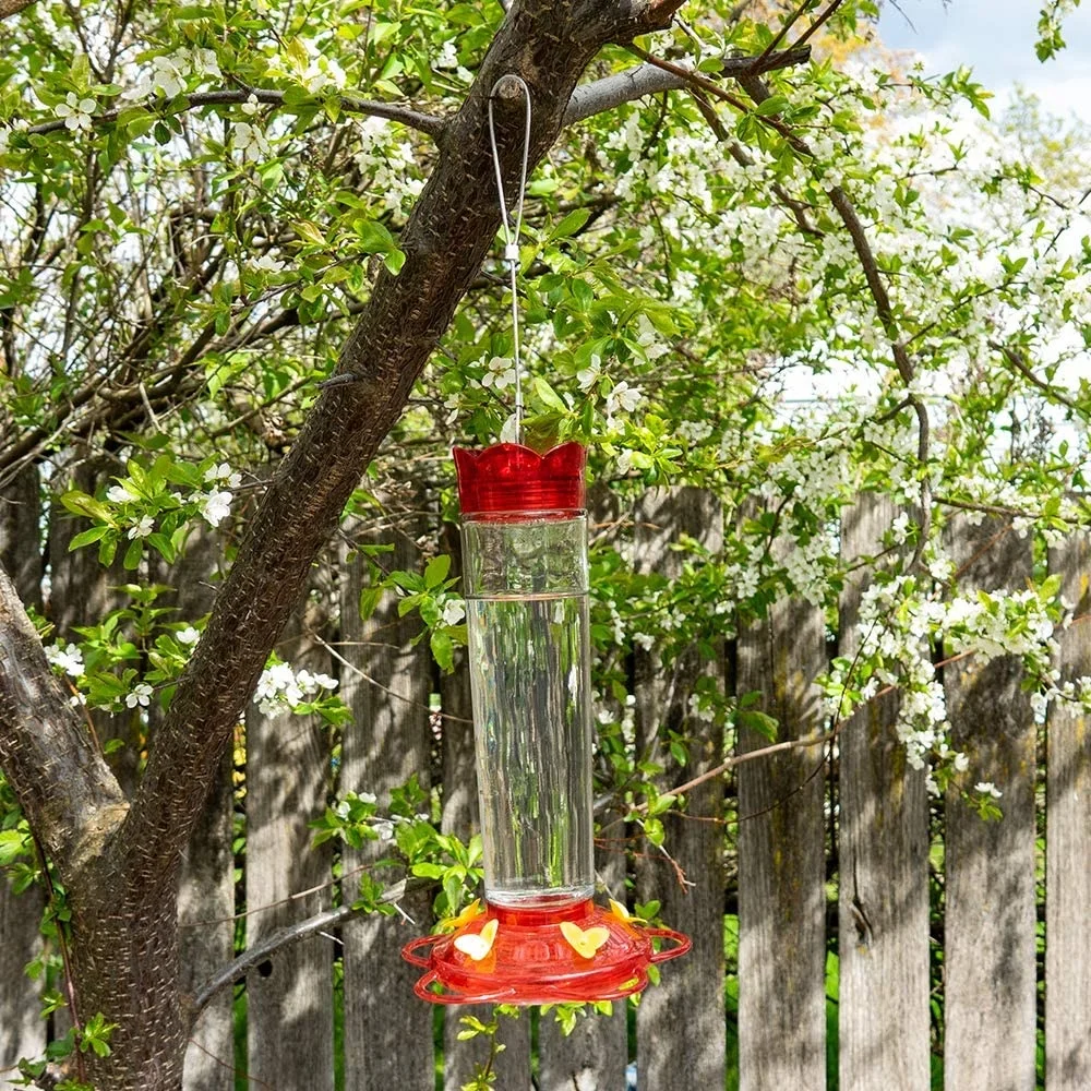 Automatic Outdoor Garden Hanging Waist Glass Hummingbird Bird Feeder