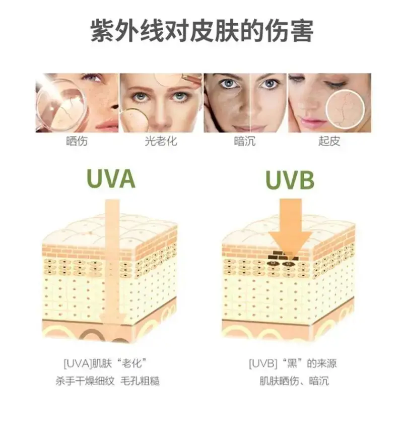 2023 New 50ml Custom Best Natural Sunblock SPF 50 Sunscreen UV Protection Sunscreen