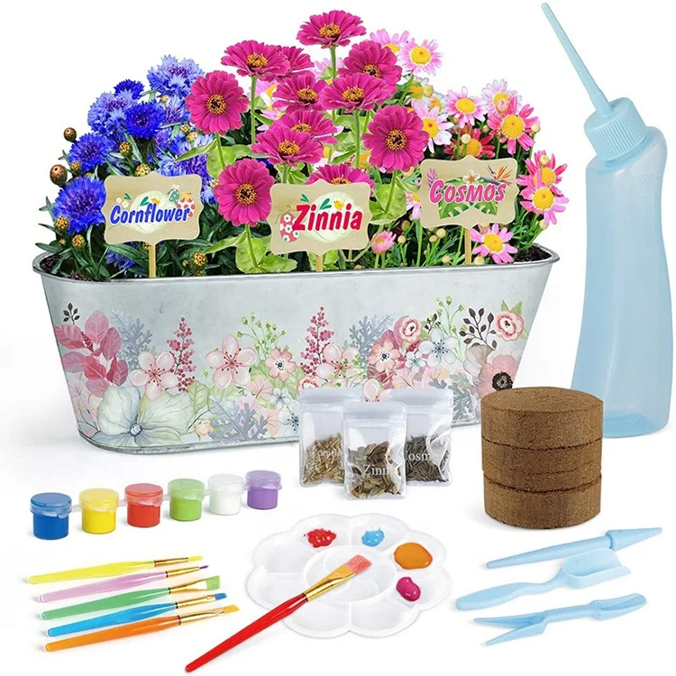 kids planting growing kit paint and plant DIY Tools for little planters Science gift kids garden toy