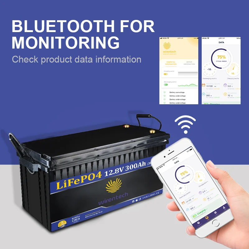 Customize Rechargeable Lithium ion Batteries pack 12.8v 300ah Factory Direct