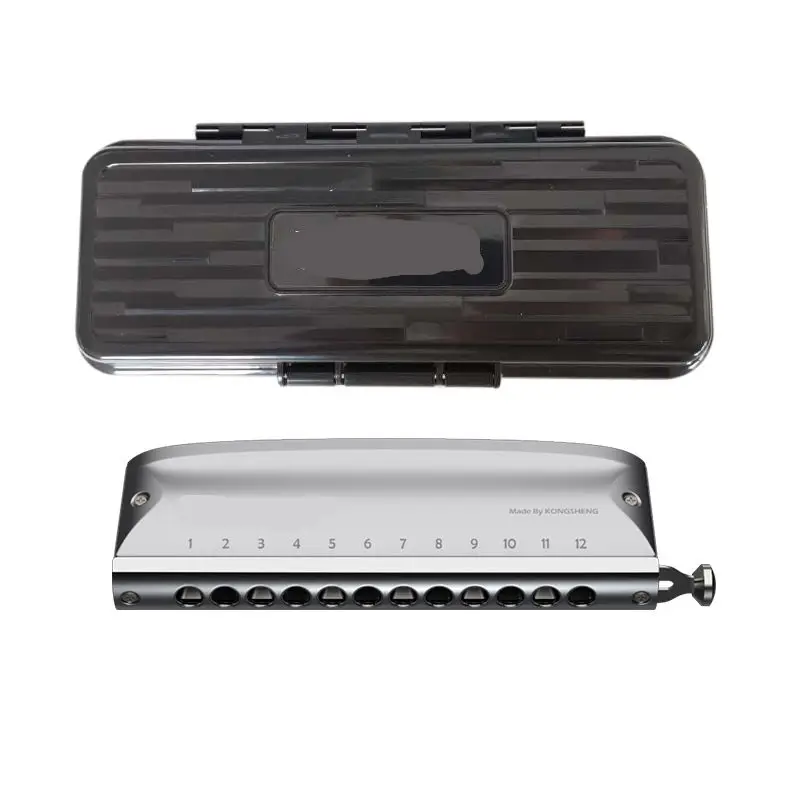 Sound Lyra Chromatic Scale Harmonica 12 Holes Playing Musical Instrument Piano