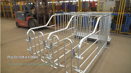 Chinese factory wholesale gestation crates for pigs animal cage pig farm project pig cage