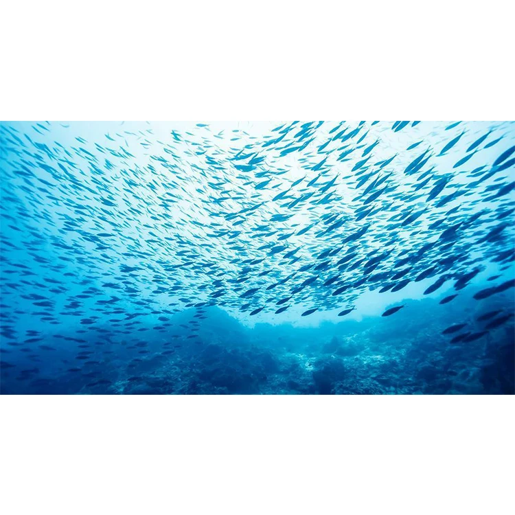 Sustar Animal trace minerals elements manufacturer Feed Grade Trace Elements Premix aquatic feed