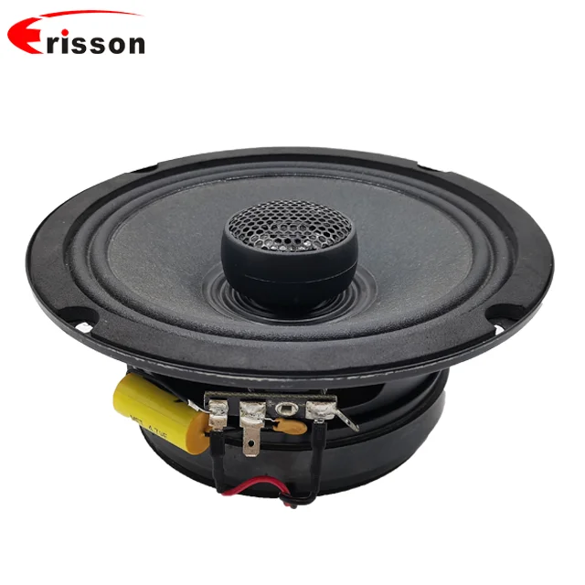 High Quality OEM/ODM Professional Coaxial Speakers 65 Inch Marine Speaker 100 Watts with midbass woofer