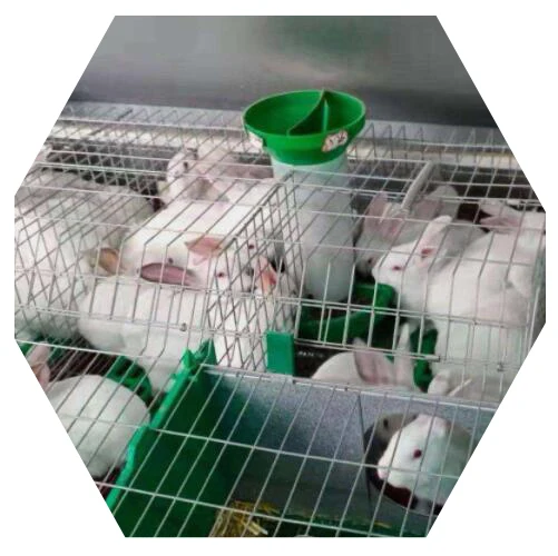 Медицинская ветеринарная клетка для собак животных кроликов из нержавеющей стали