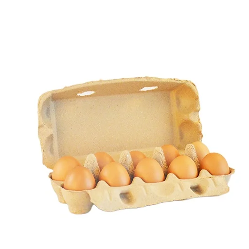 Hot selling household egg biodegradable packaging pulp egg carton mold custom wholesale