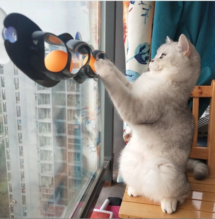 Customized Casi Butterfly Cat Toy Remote Controlled With Wholesale Price