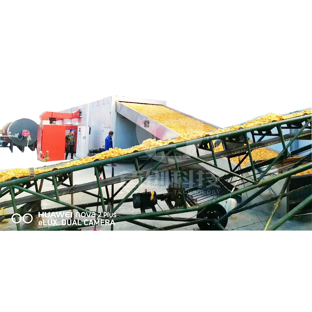 остатки пищи фруктов автоматический сухофрукты обезвоженной машина для сушки фруктов производственная линия