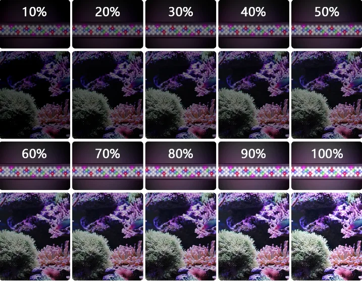 20inches 30W 32inches 45W Full Spectrum Planted Grow Lamp Aquarium led light 12V Reef Coral Plant Fish Tank Lamp