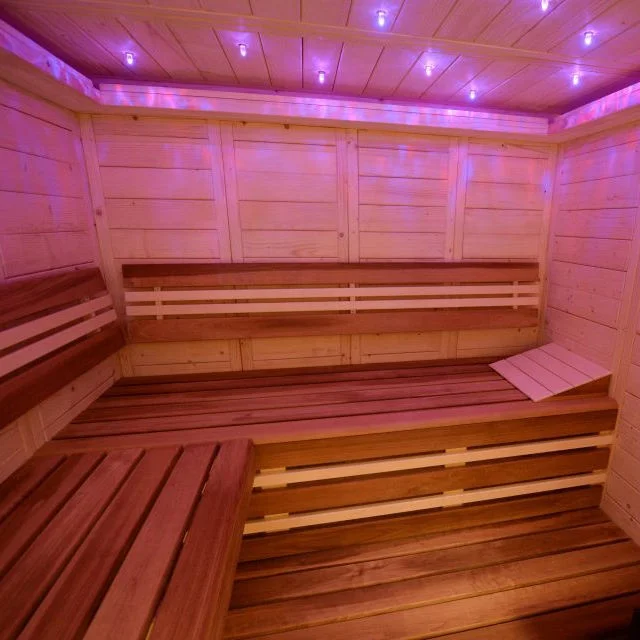 Factory Price Russian BANYA etc Sauna Sky Star Ceiling Fiber Optic Star Ceiling RGB Light with Colors Change