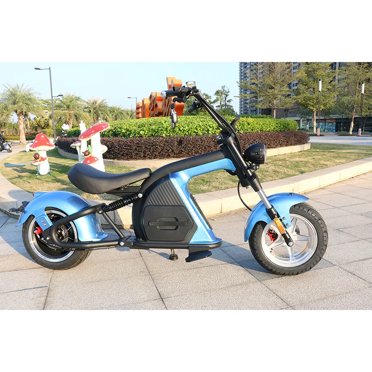 New model Factory Direct 2000/W3000W/4000W Newly designed EEC COC electric scooter Citycoco Adult edition