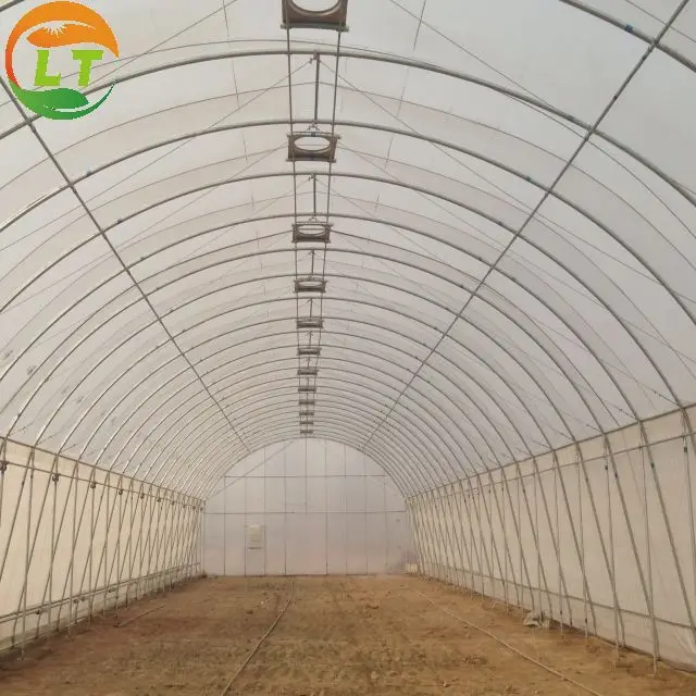 Galvanized single span greenhouse membrane vegetable greenhouse Tomato greenhouse