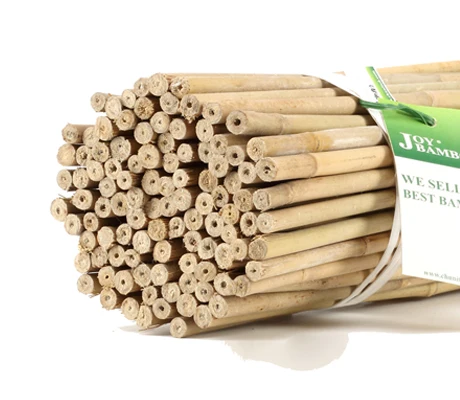Natural Garden Bamboo Sticks for Indoor and Outdoor Plant Support Stakes For Olive Tree Indoor