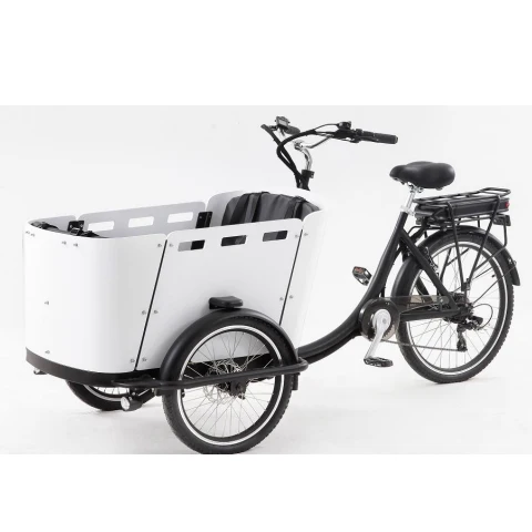 Electric Cargo Bike Ce Best Price 3 Wheel Pedal Motorcycle Tricycle for Cargo Bike With Kid/Cargo Delivery Tricycle
