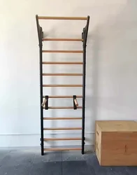 Commercial Gym Natural push up Stall Bars Gym Climbing  Ladders pilates Swedish ladder