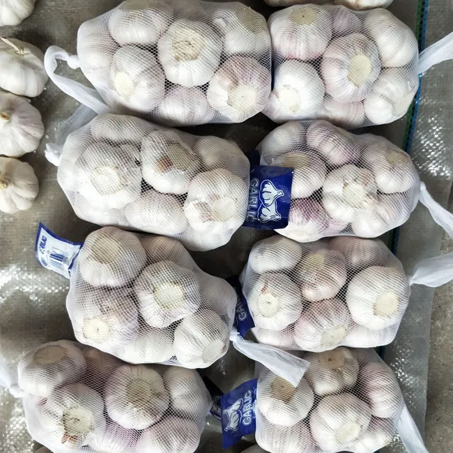 4.5cm 5.0cm 5.5cm 6.0cm Chinese Fresh Garlic Dried China Pure White Normal White Vegetables Garlic Small Packing For Export