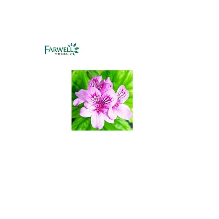 Farwell 100% CAS #8000-46-2 натуральный экстракт марокканского растения