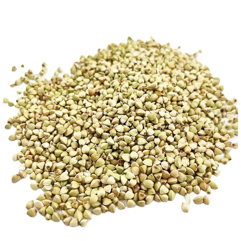 HongDa Hot Sale cheap buckwheat price buckwheat husk green buckwheat