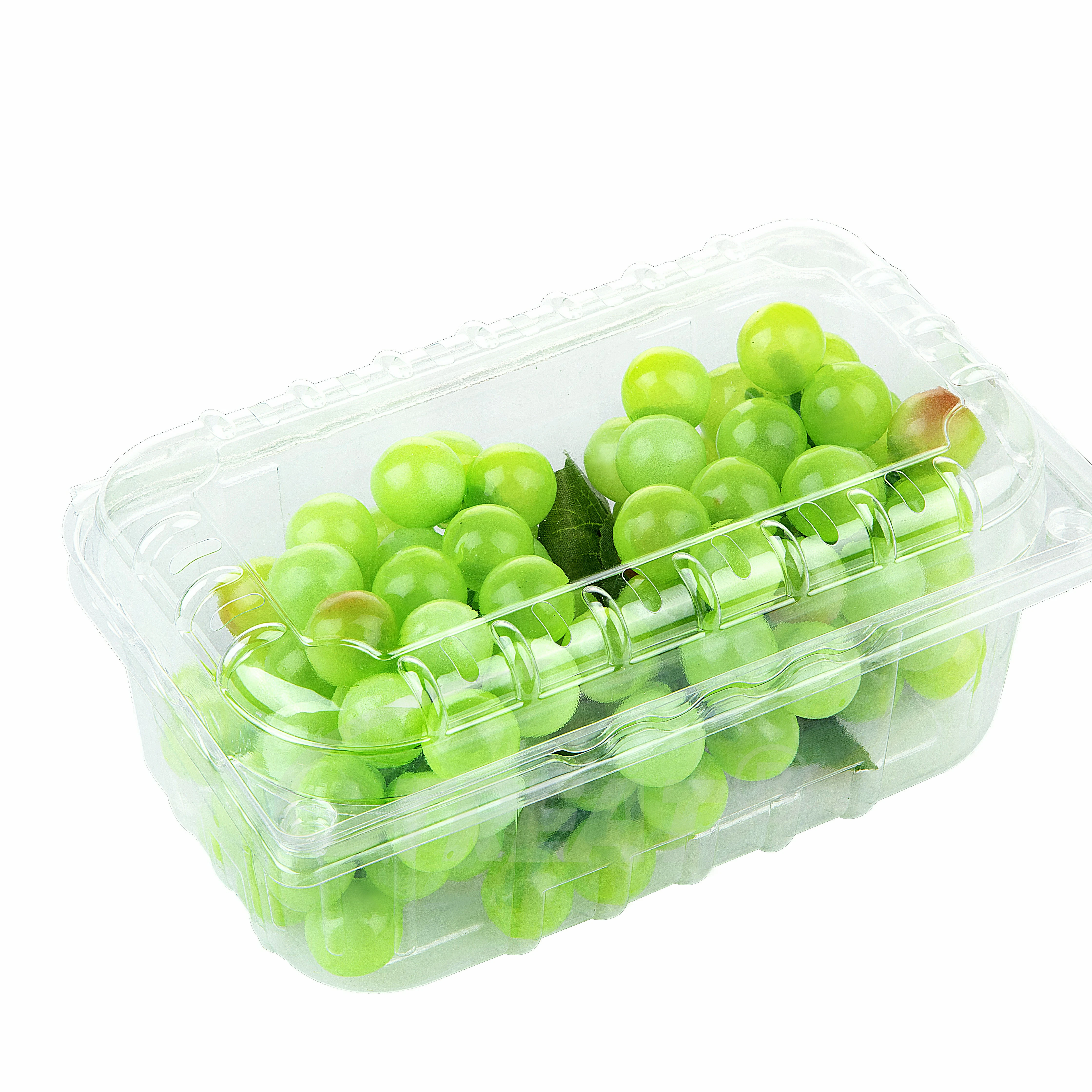 PET Plastic Fruit and Vegetable clamshell packaging Berries and Other Produce Storage container