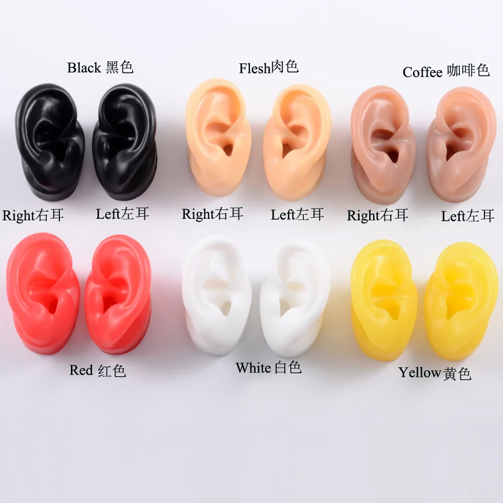 Puncture Practice Body Piercing Jewelry Simulation Human Silicone Ear Model With Display Stand Use For Tattoo Display Tool