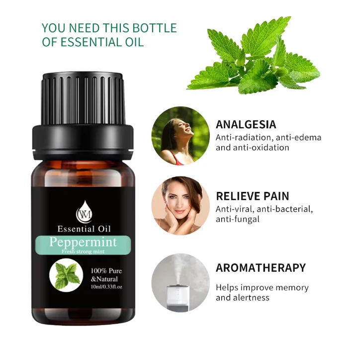 Essential Oil Set with Tea Tree Peppermint Lavender Lemon Eucalyptus Rose Rosemary Face Massage 10ml Bottle OEM Supply