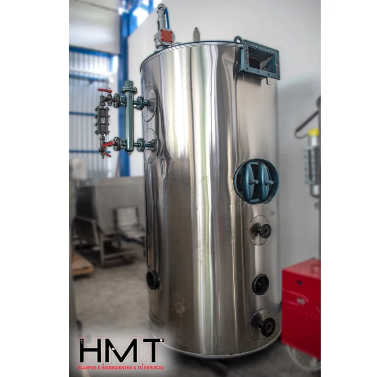 High Quality Gas Steam Boiler machine Professional Steam Boilers Manufacturer