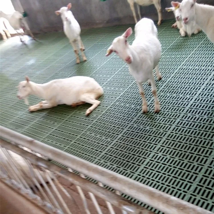 Sheep Farm Plastic Slatted Flooring India Hot Sale Plastic Goat Slat Floor for Goat Farm Shed