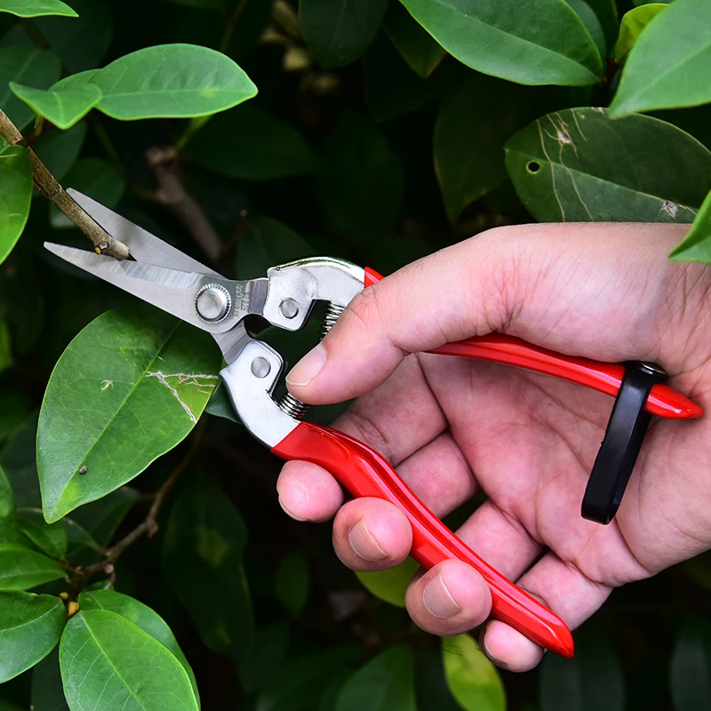 Sharper Pruning Shears Tree Trimmers Gardening Scissors Pick the fruit cut Hand Pruner Garden Shears