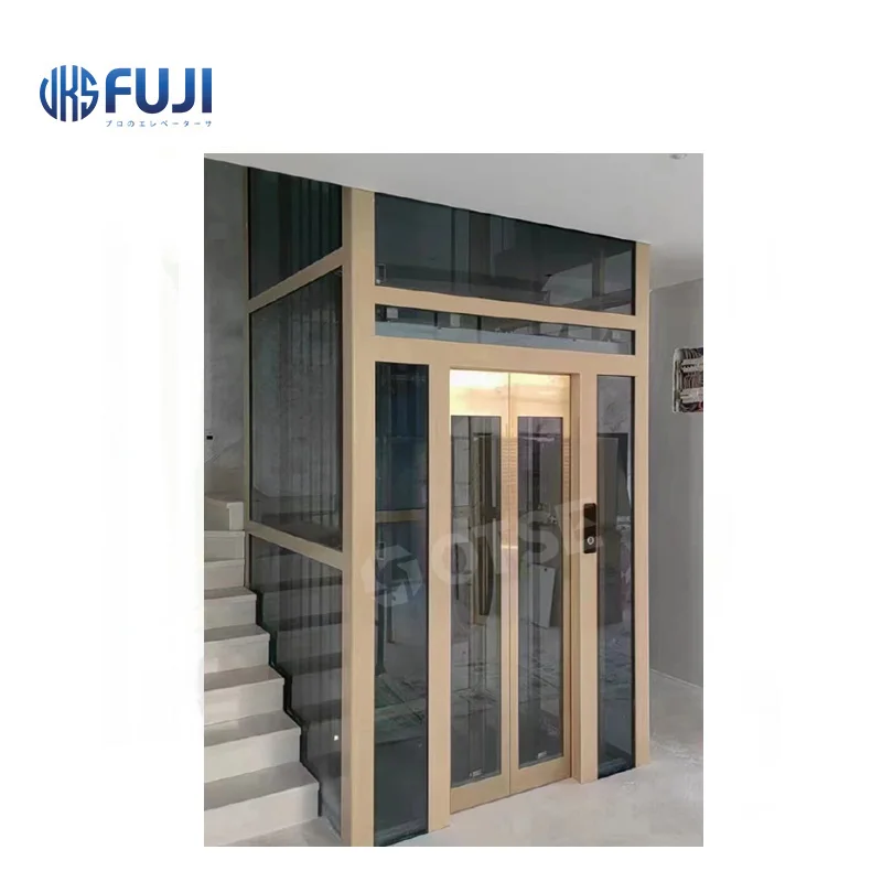 2-4 Floors 320KG CE Certificated Home Elevator Luxury Observation Residential Lift For Sale