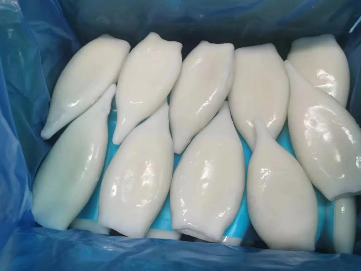 Illex squid tube Illex Squid Tube  good quality  with glazing