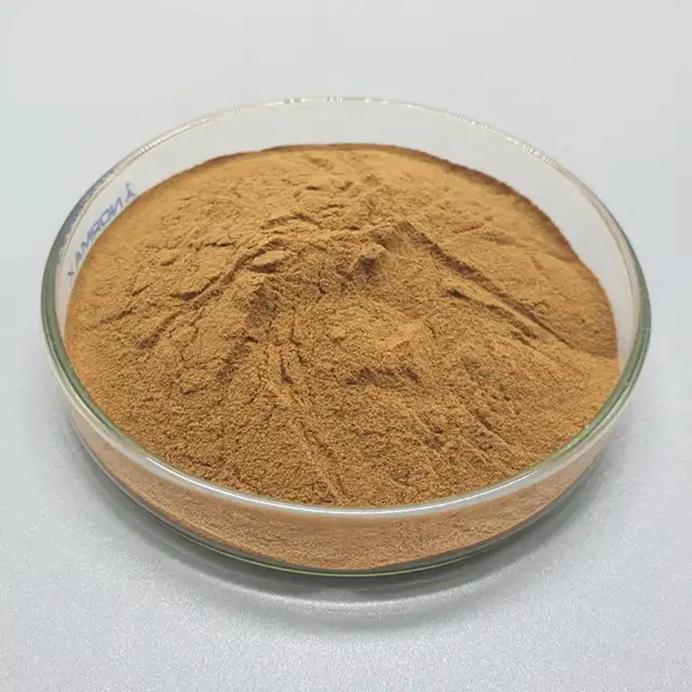 Natural Polysaccharide 30% Enoki Mushroom Extract