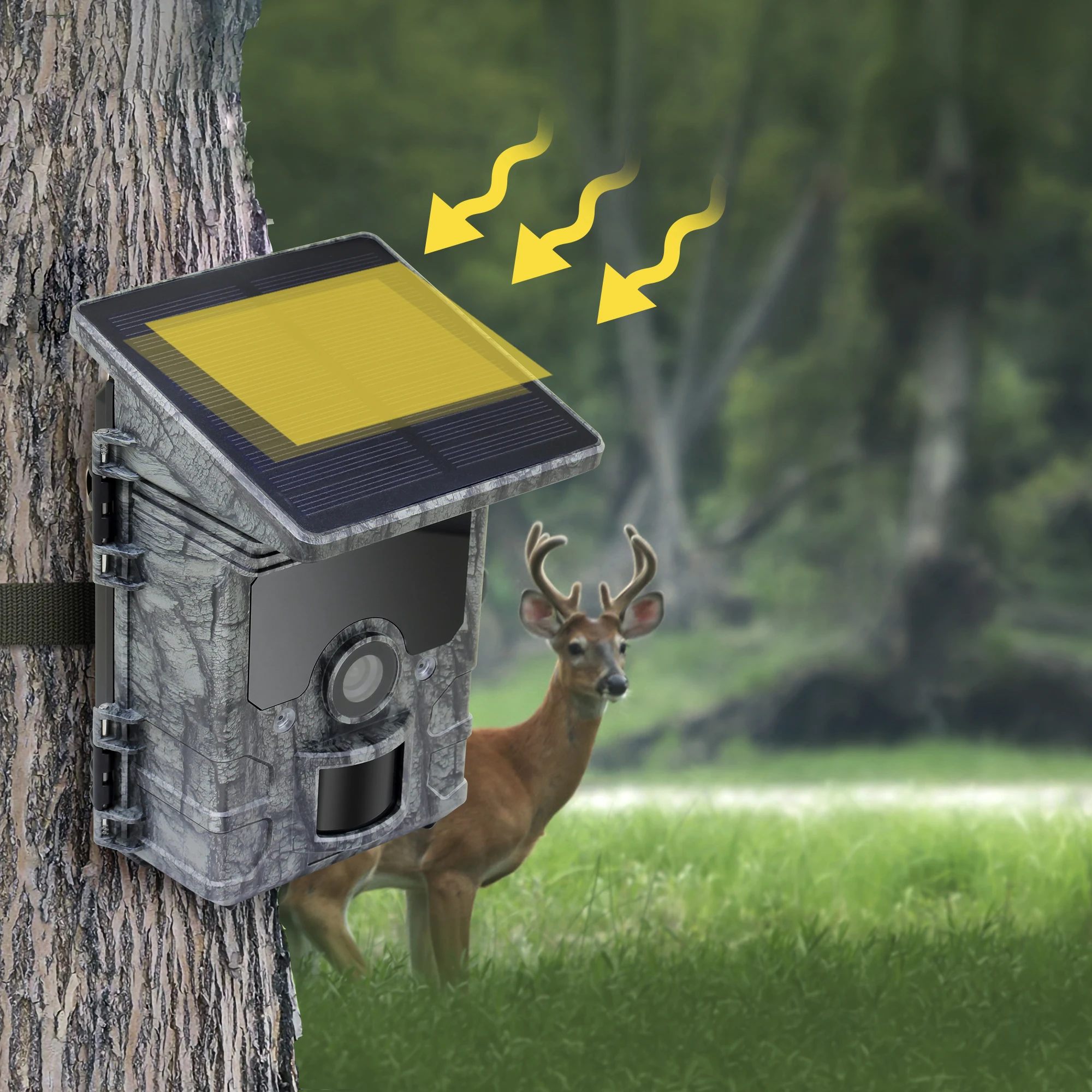 Solar Powered WiFi 4K BT Game Camera Night Vision Wildlife Monitoring Property Security Hunting Scouting Camera