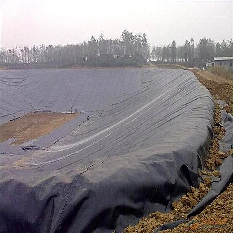 HDPE 1mm ASTM GM13 Shrimp Waterproof Geomembrane Liner Outdoor Landfill Ponds Fish Farms Industrial Design Modern LLDPE EVA