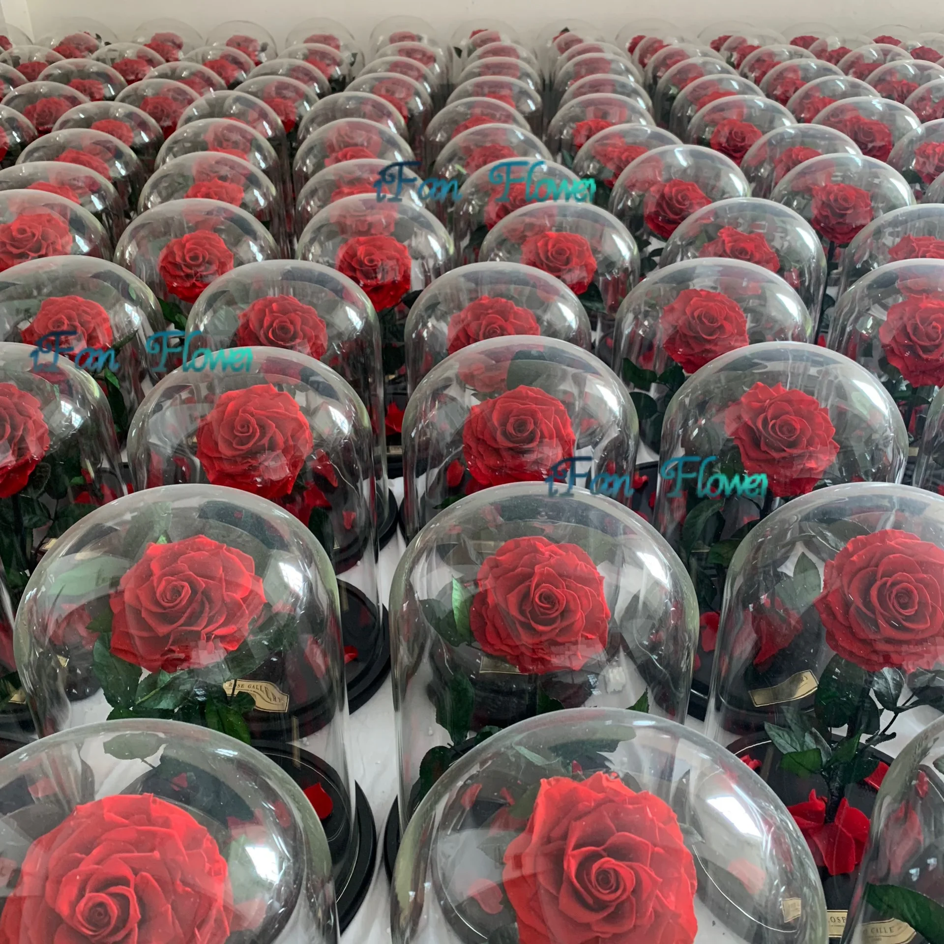 New edition preserved red roses in glass dome with black wooden base perfect gift idea for christmas